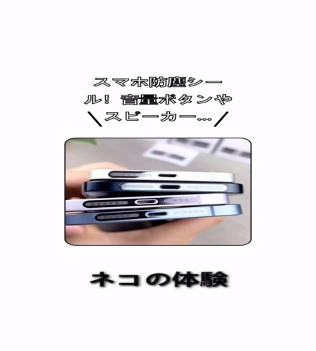 実物検証