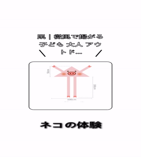 実物検証
