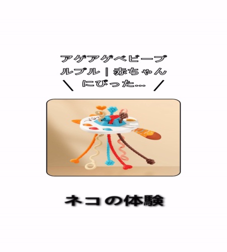 実物検証