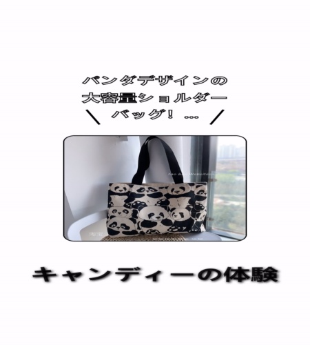 実物検証