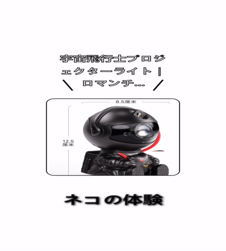 実物検証