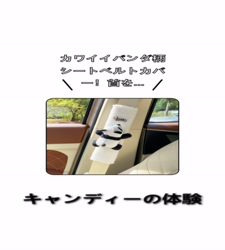 実物検証