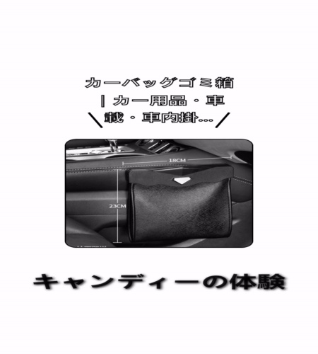 実物検証