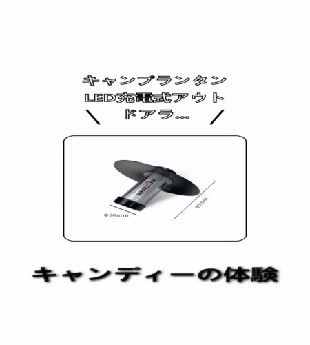 実物検証