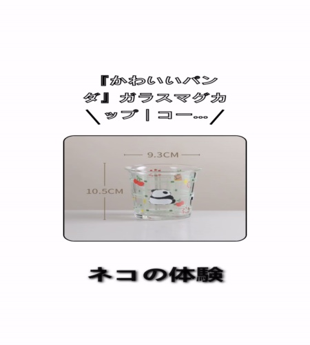 実物検証
