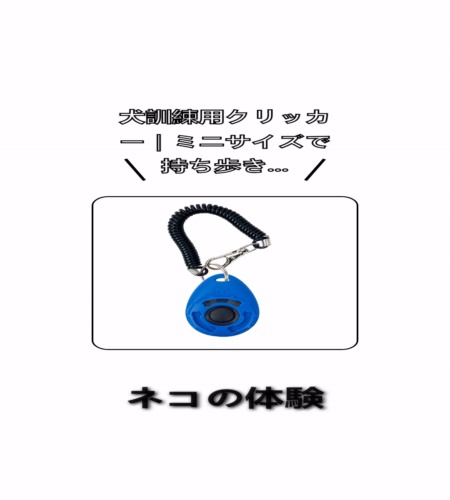 実物検証