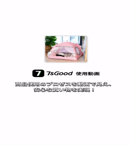 実物検証