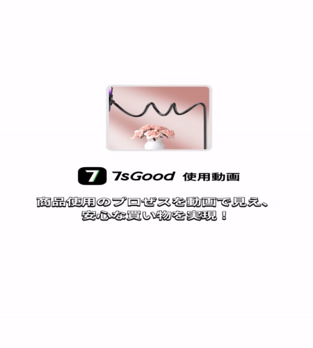 実物検証