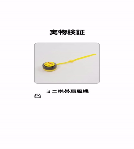 実物検証