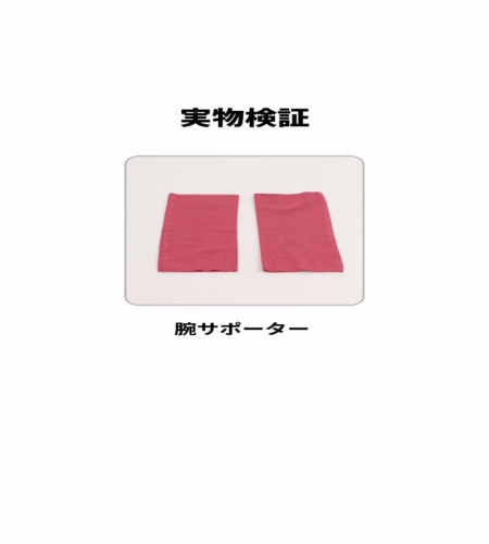 実物検証