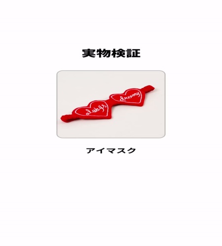 実物検証