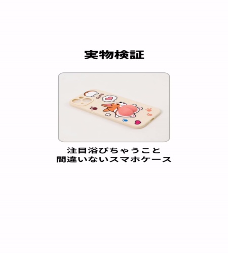 実物検証