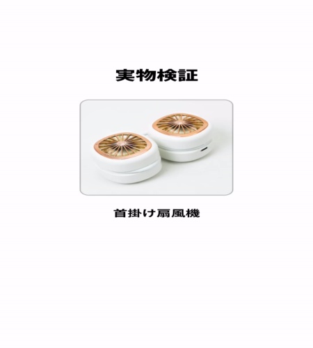 実物検証