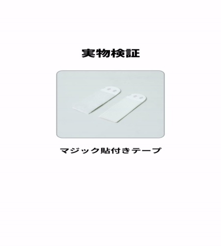 実物検証