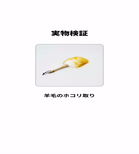 実物検証