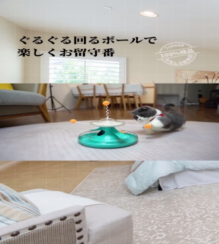紹介動画