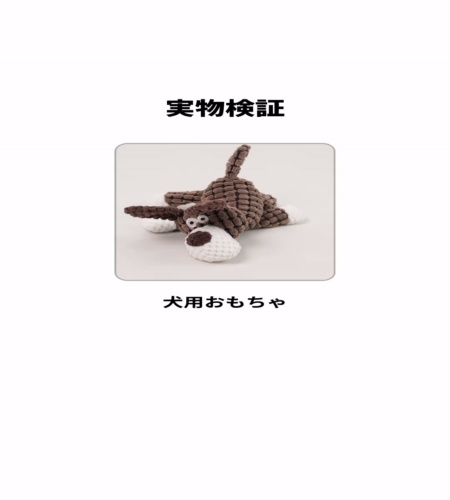 実物検証