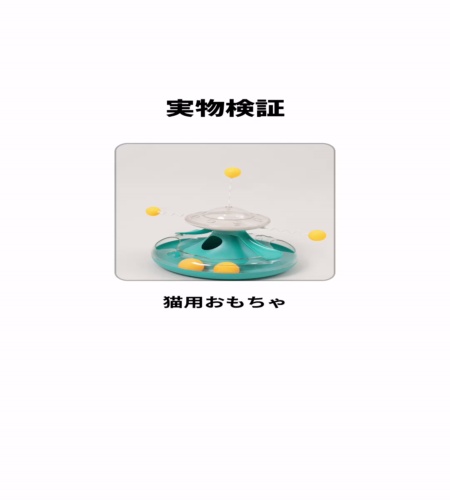 実物検証