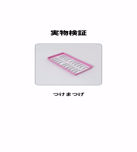 実物検証