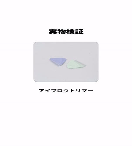 実物検証