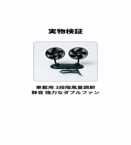 実物検証