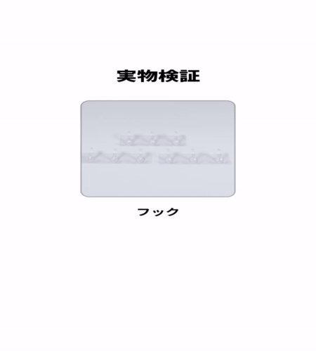実物検証