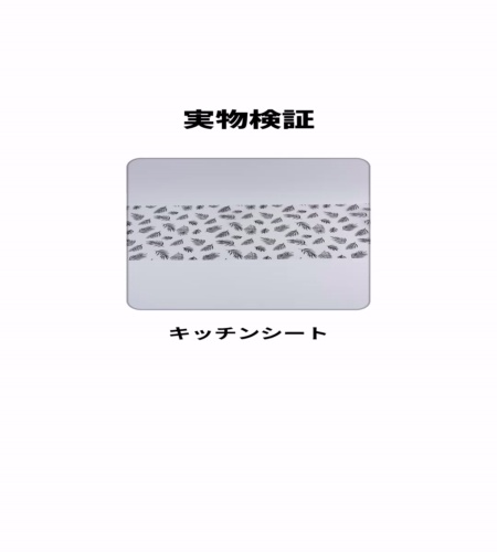 実物検証