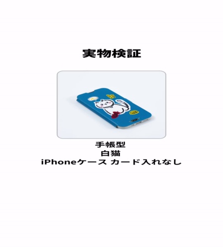 実物検証