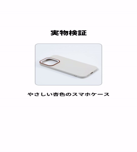 実物検証