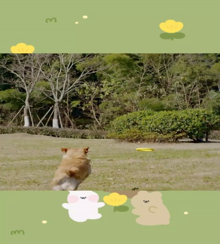 紹介動画