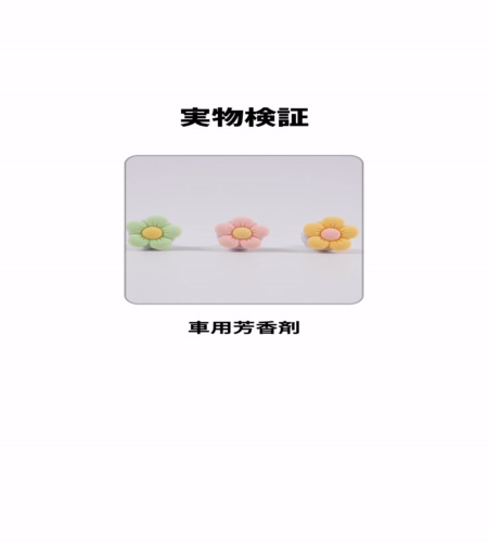 実物検証