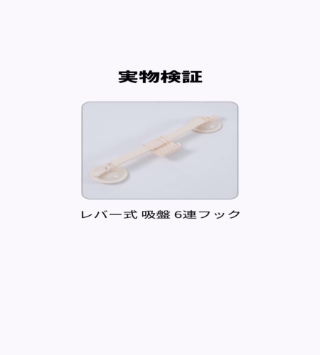 実物検証