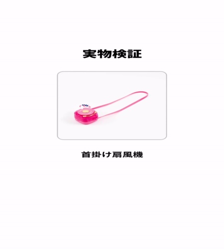実物検証