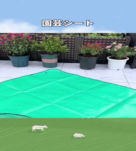 紹介動画