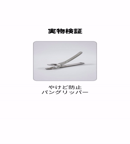 実物検証