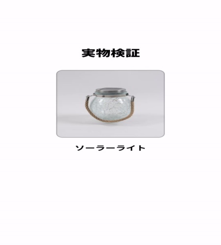 実物検証
