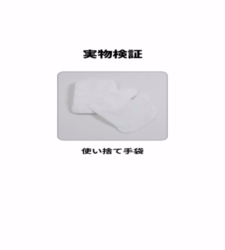 実物検証