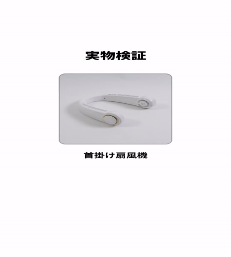 実物検証