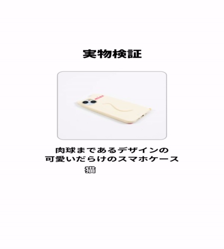 実物検証