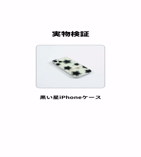 実物検証