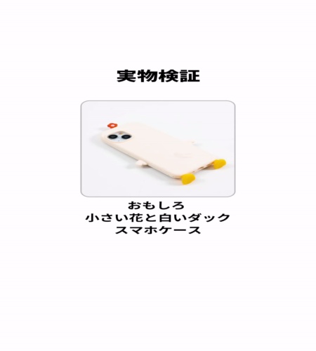 実物検証