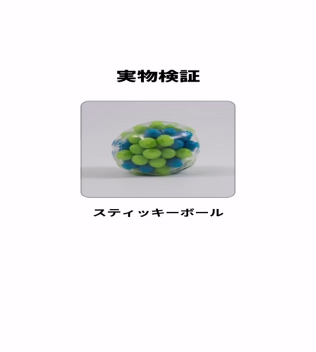 実物検証