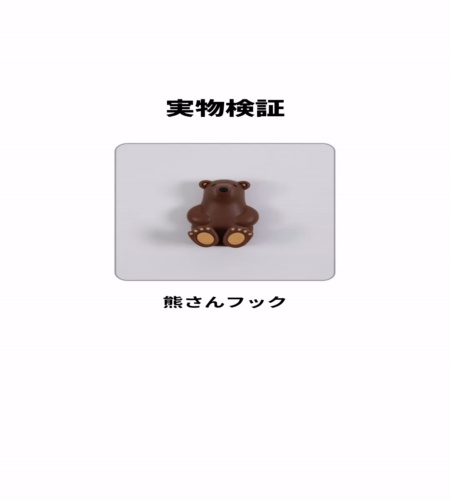 実物検証