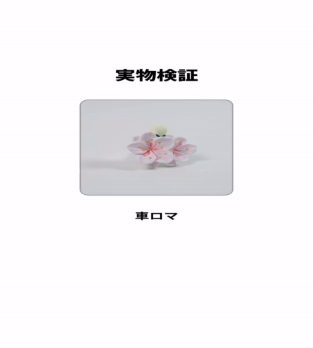 実物検証