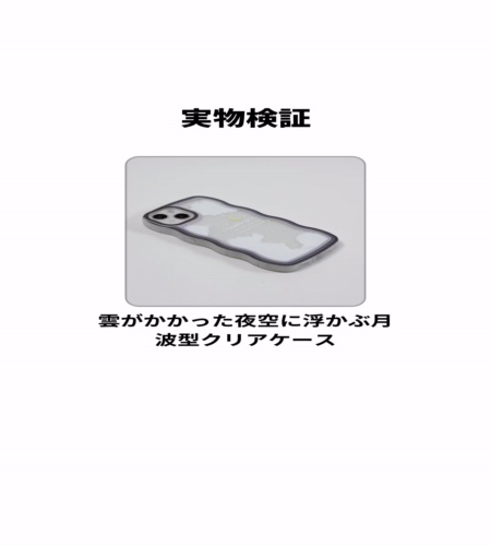 実物検証