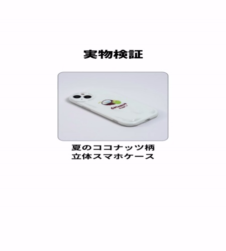 実物検証