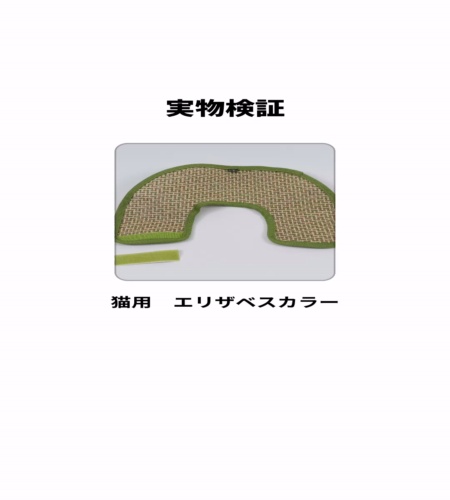 実物検証