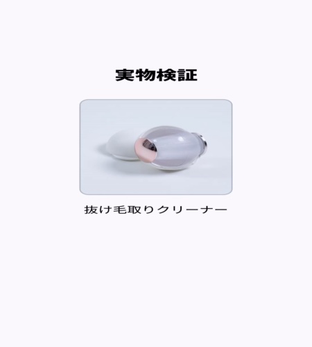 実物検証