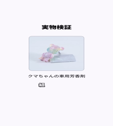 実物検証