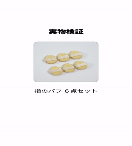 実物検証